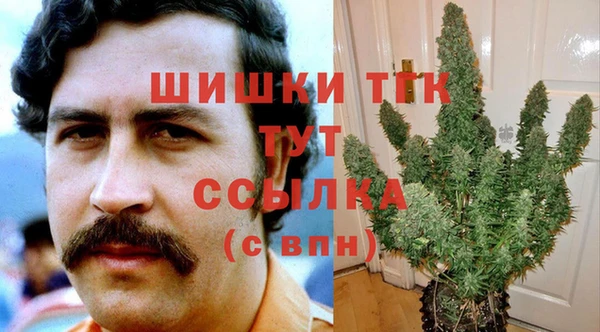 крисы Алзамай