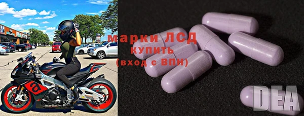 крисы Алзамай