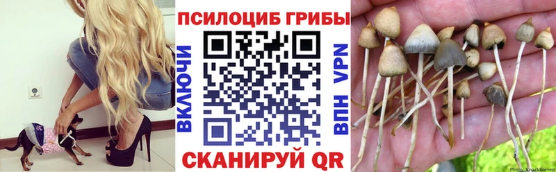 Галлюциногенные грибы мухоморы Губкин